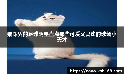 猫咪界的足球明星盘点那些可爱又灵动的球场小天才